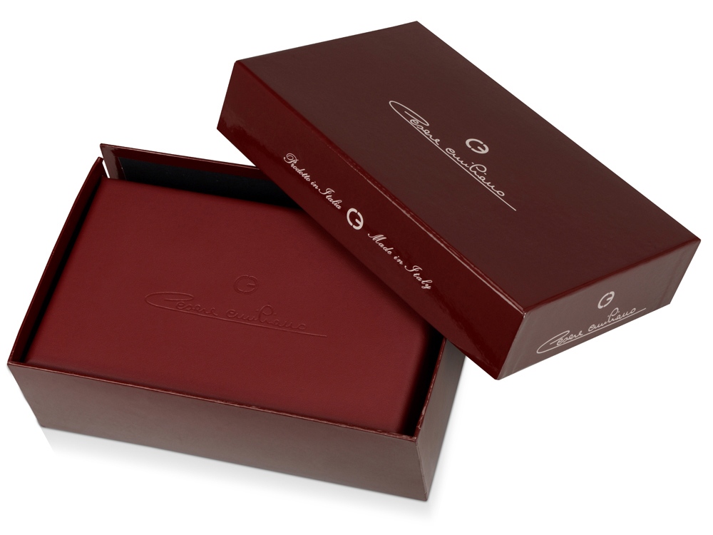 Ручка перьевая Cesare Emiliano в футляре, золотистый-6