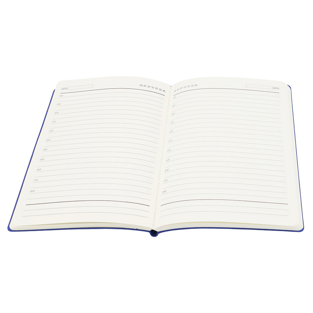 Ежедневник A5 недатированный Equator в мягком переплёте, Синий-1