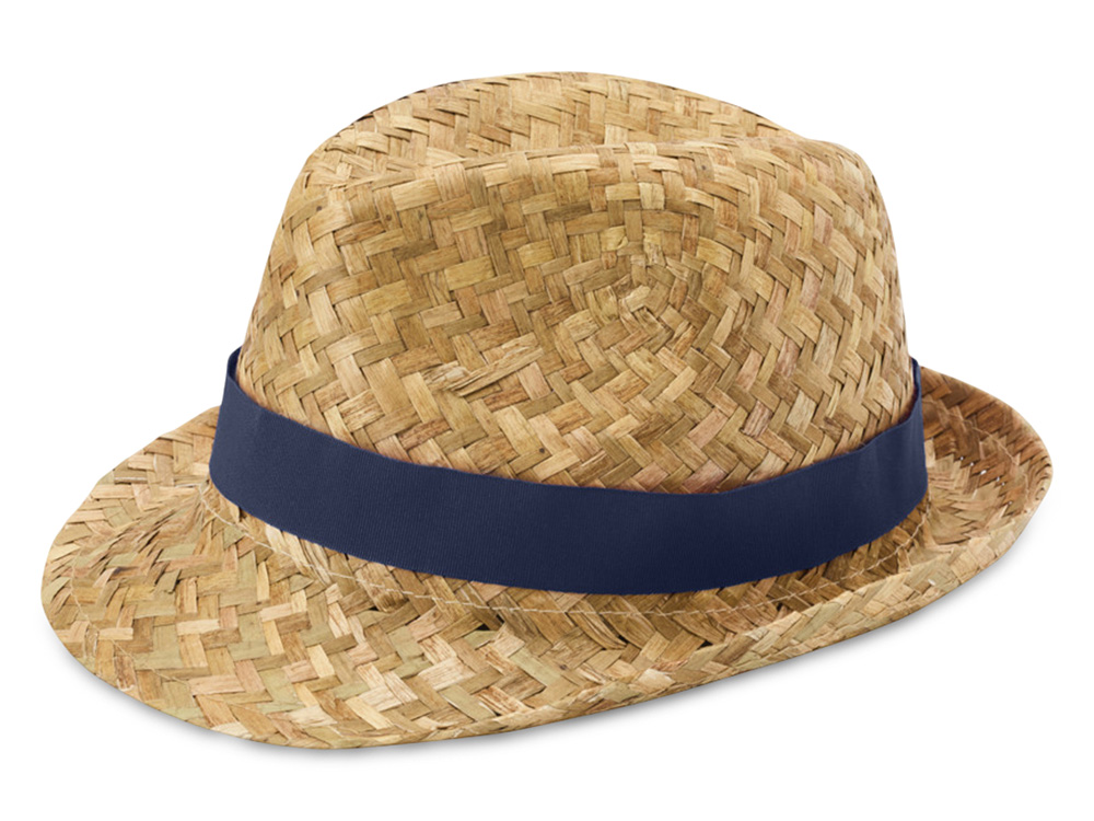 Pricus соломенная шляпа - Темно - синий / Натуральный-0