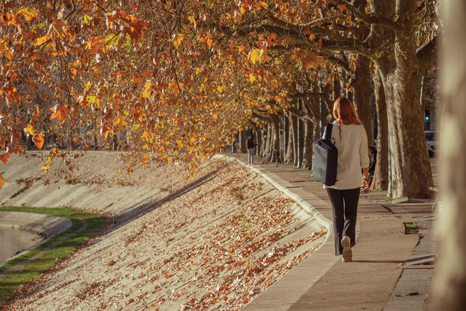 Сумка-рюкзак XD Design Bobby Bizz 2.0 с защитой от карманников-16