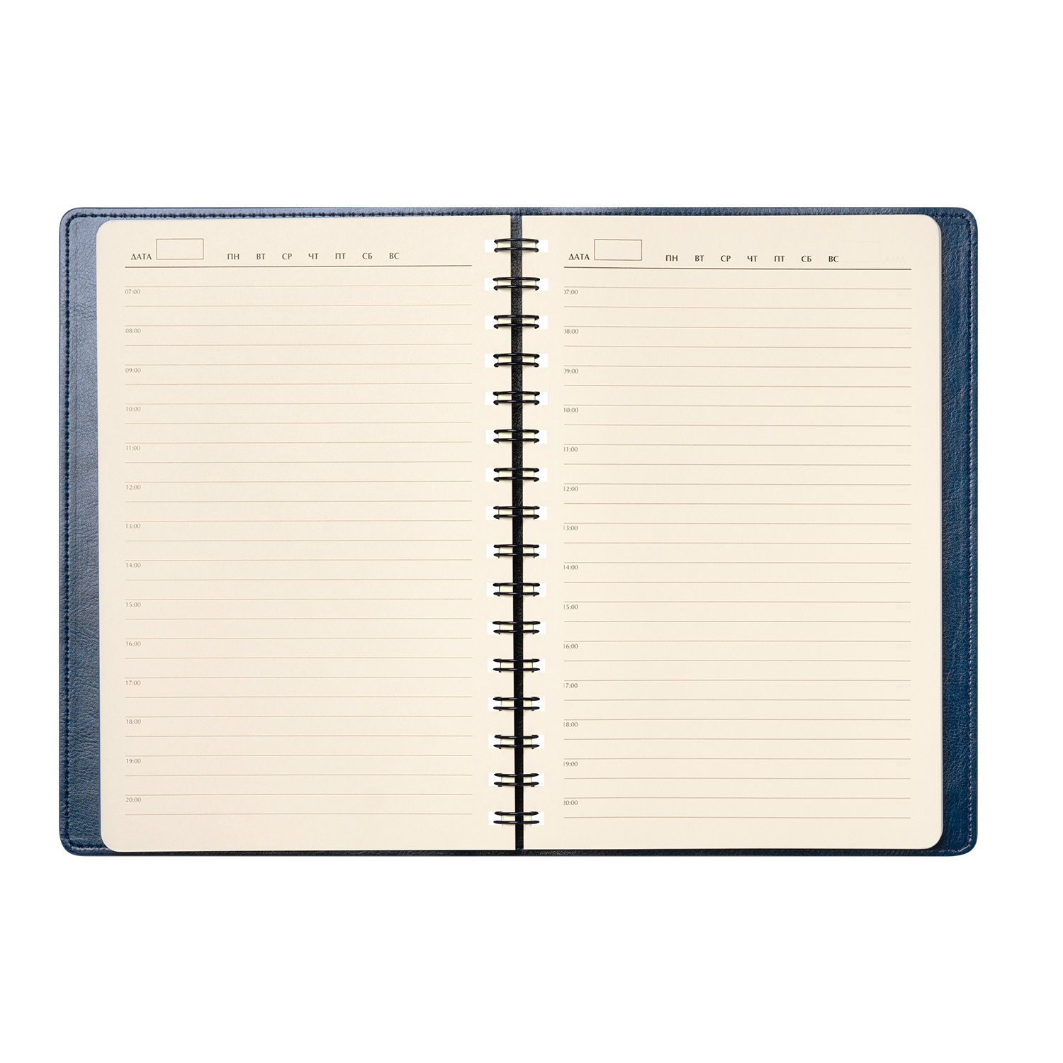 Ежедневник Vista Neo недатированный, синий-7