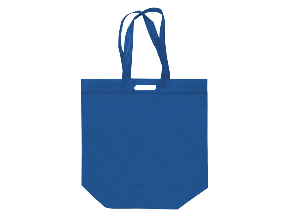Сумка для покупок из спанбонда Scope, 455*160*380 с ручкой 550/30 мм, синий-1