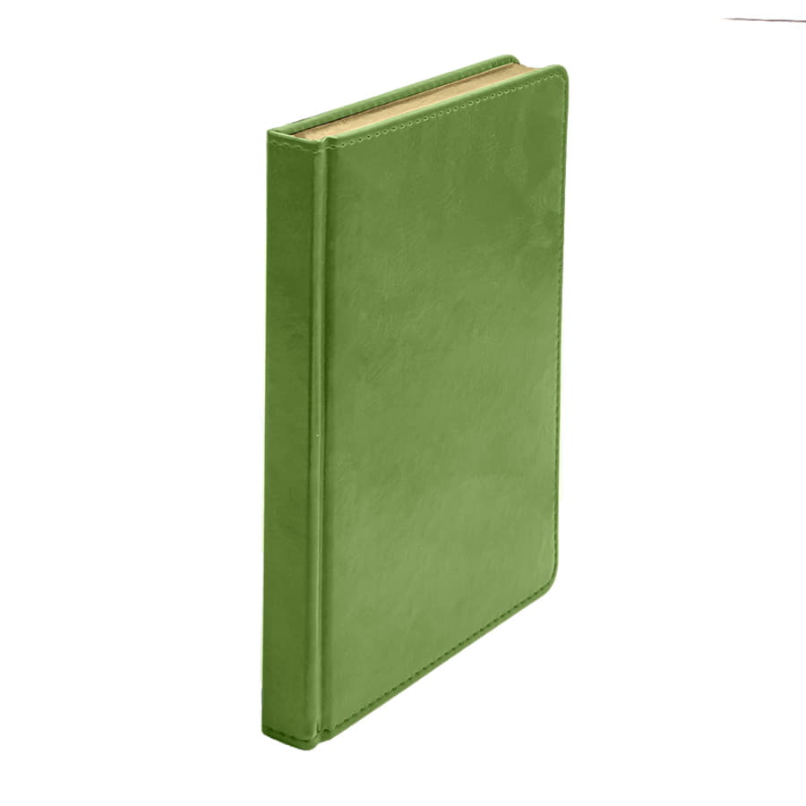 Ежедневник недатированный Joy, формат А5, в линейку, зеленое яблоко-7