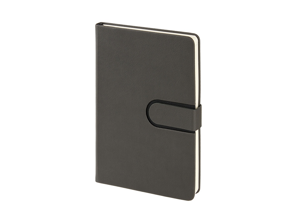 Ежедневник недатированный А5 Status, графитовый серый-2
