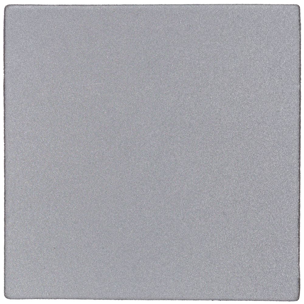 Лейбл светоотражающий Tao, L, серый-1