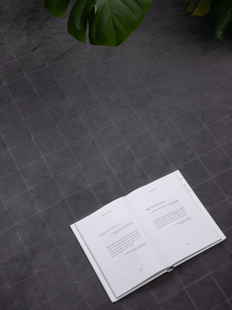 Плед для пикника Soft & Dry 2, серый-3