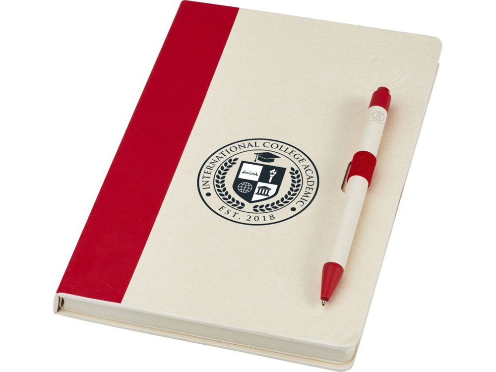 Блокнот размером A5 и шариковая ручка Dairy Dream, красный-4