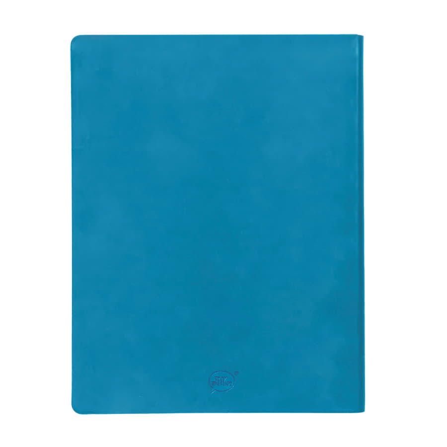 Бизнес-блокнот BIGGY, формат B5,  в клетку, голубой-2