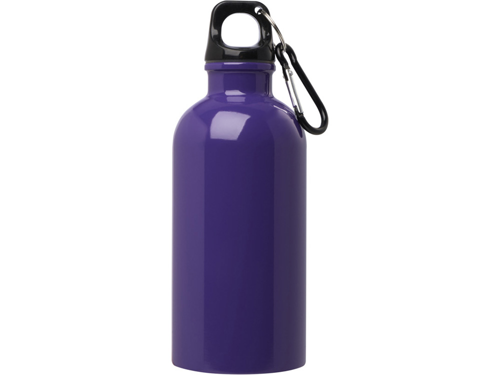 Одностенная бутылка для воды с карабином Oregon, изготовленная из нержавеющей стали, сертифицированной по стандарту RCS, объемом 400 мл - Пурпурный-1