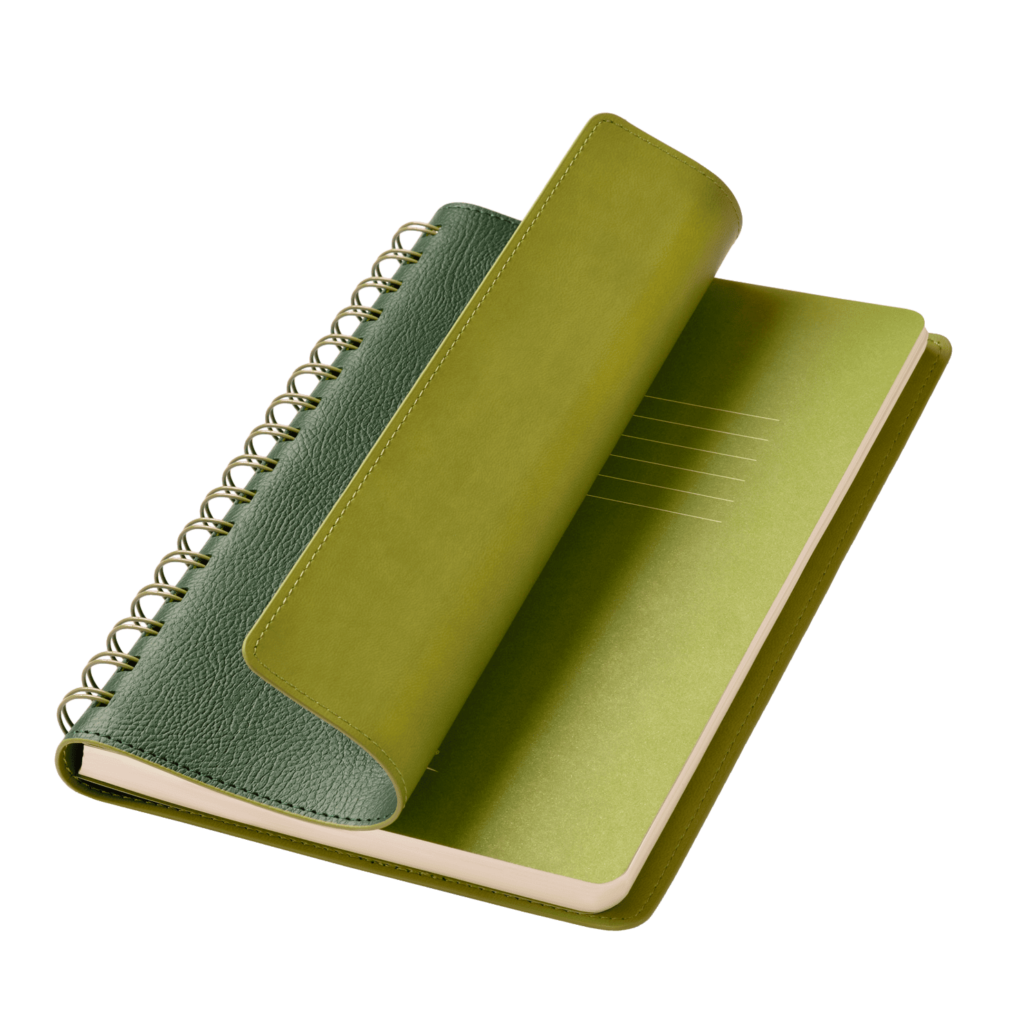 Ежедневник Виста (Vista) недатированный, зеленый/салатовый-0