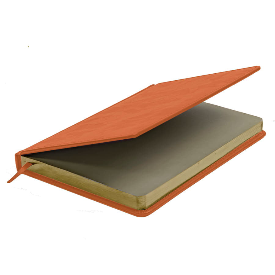 Ежедневник недатированный Joy, формат А5, в линейку, оранжевый-4