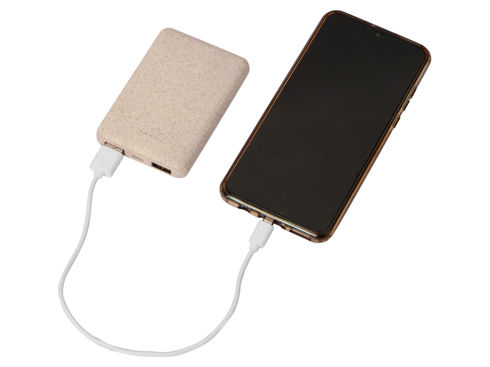 Портативное зарядное устройство Wheatty, 5000 mAh-1