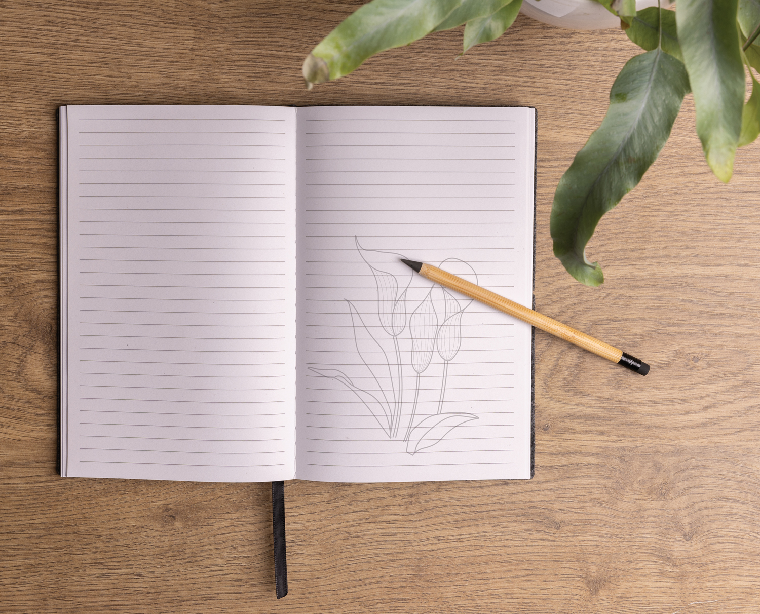 Вечный карандаш из бамбука FSC® с ластиком-3