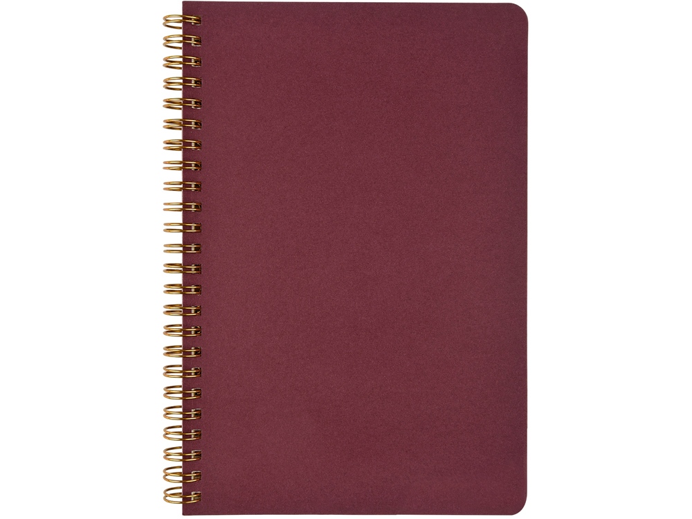 Бизнес тетрадь на гребне А5 Pragmatic, 60 листов в клетку, бордовый-1