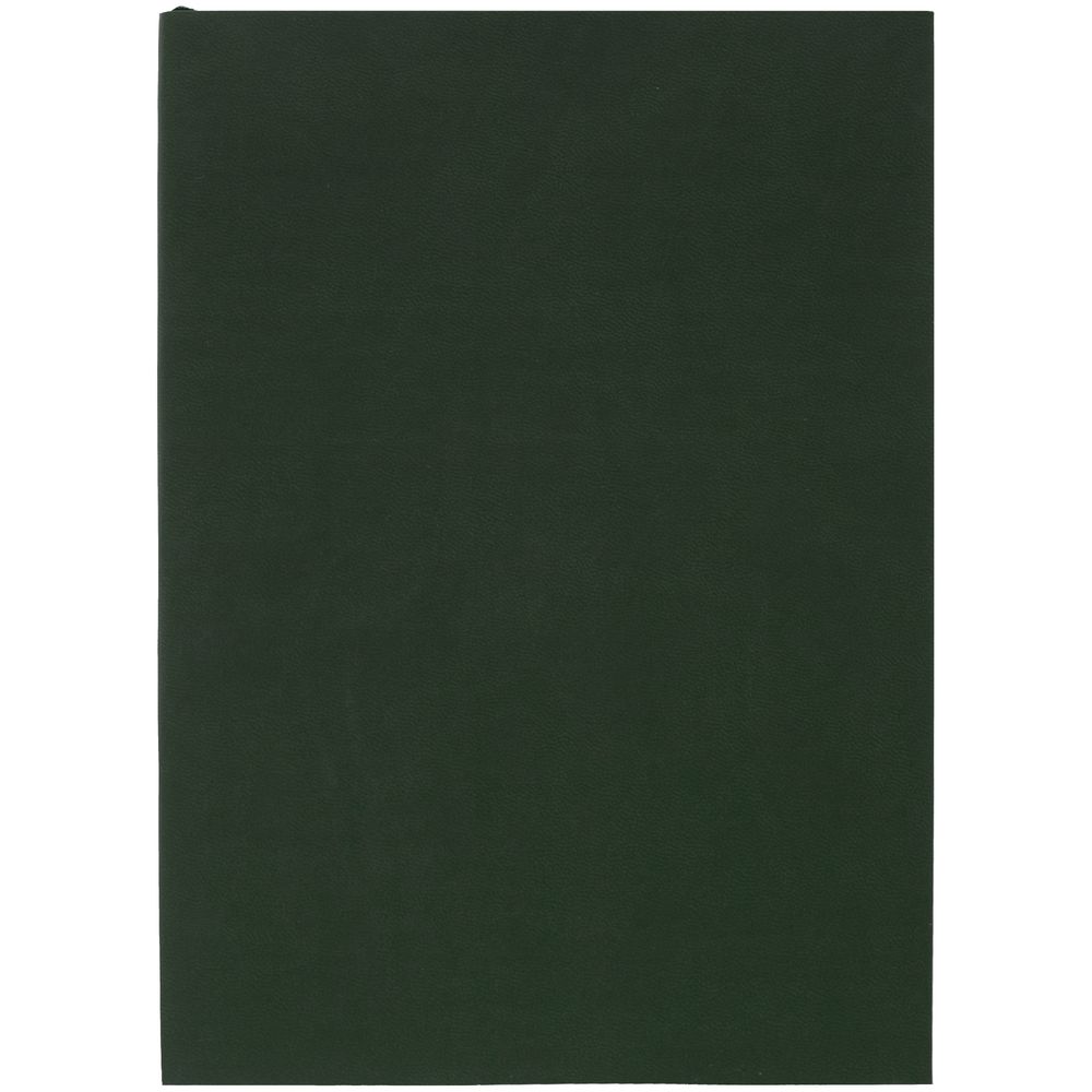 Ежедневник Flat Light, недатированный, зеленый-0