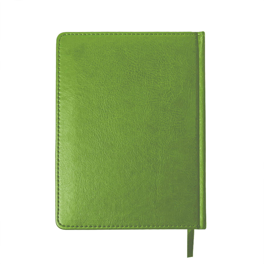 Ежедневник недатированный Joy, формат А5, в линейку, зеленое яблоко-2