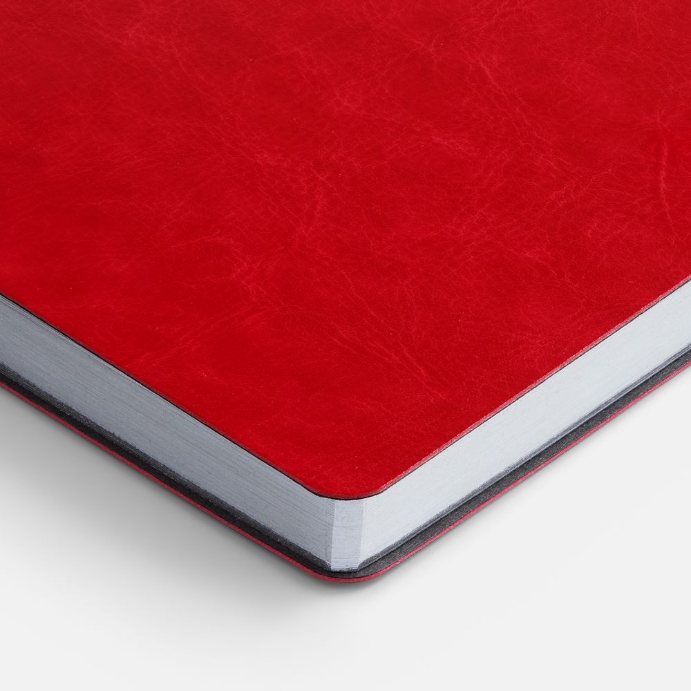 Ежедневник Nebraska Flex, недатированный, красный с серебристым-3