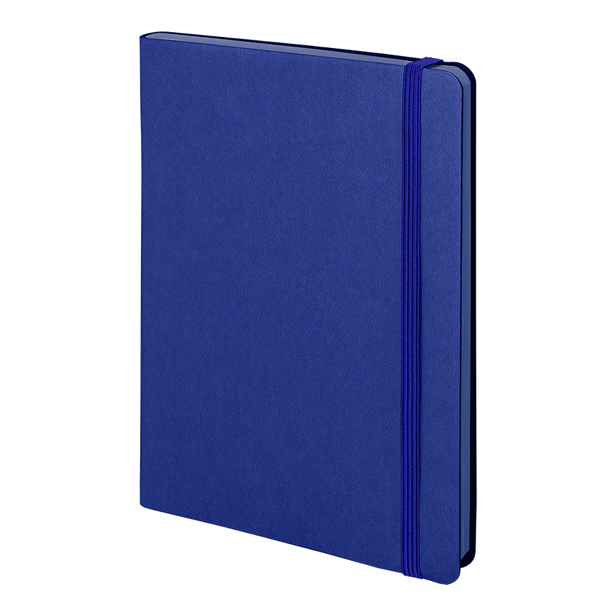 Бизнес-блокнот "RILY", формат А5,  синий, блок в точку, синий-0