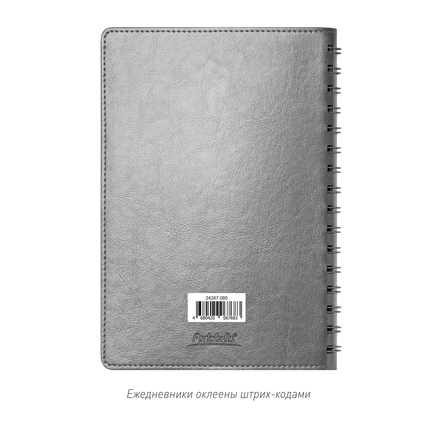 Ежедневник Виста Нео (Vista Neo) недатированный, серый-13