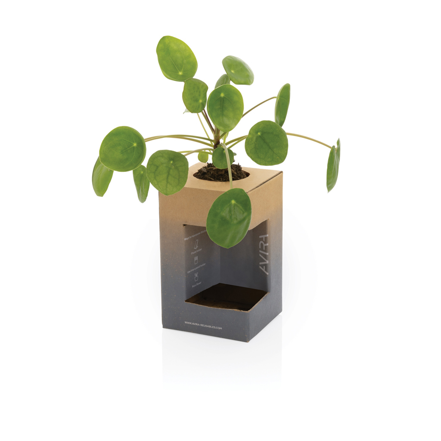 Термокружка Avira Alya из переработанной нержавеющей стали RCS, 300 мл-15