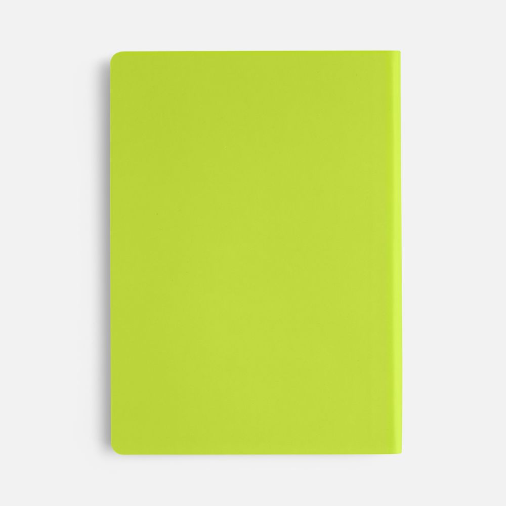 Ежедневник Flex Shall New, недатированный, светло-зеленый-2