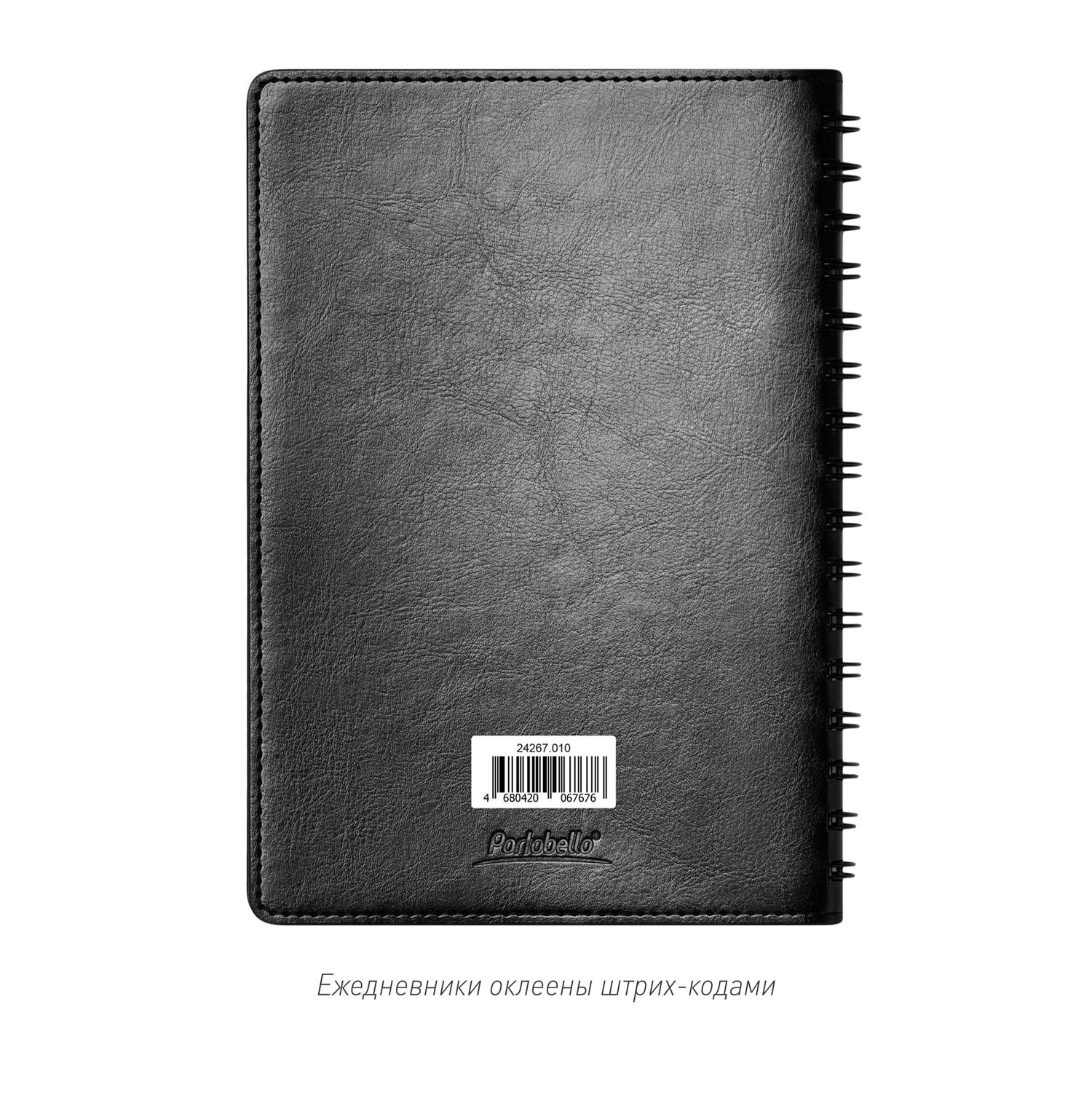 Ежедневник Vista Neo недатированный, черный-13