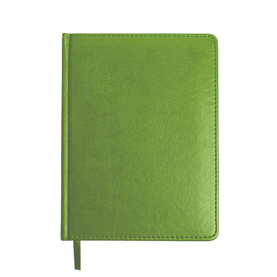 Ежедневник недатированный Joy, формат А5, в линейку, зеленое яблоко-1