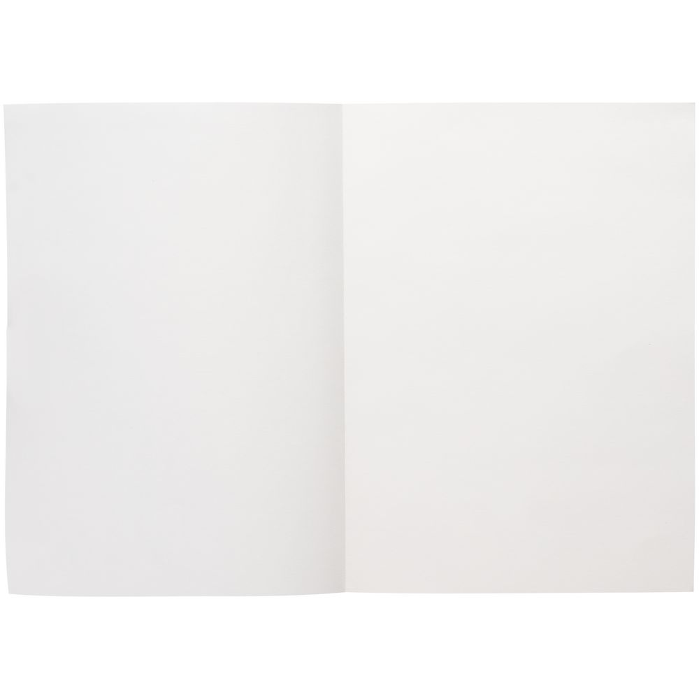 Ежедневник Flat Light, недатированный, серый-2