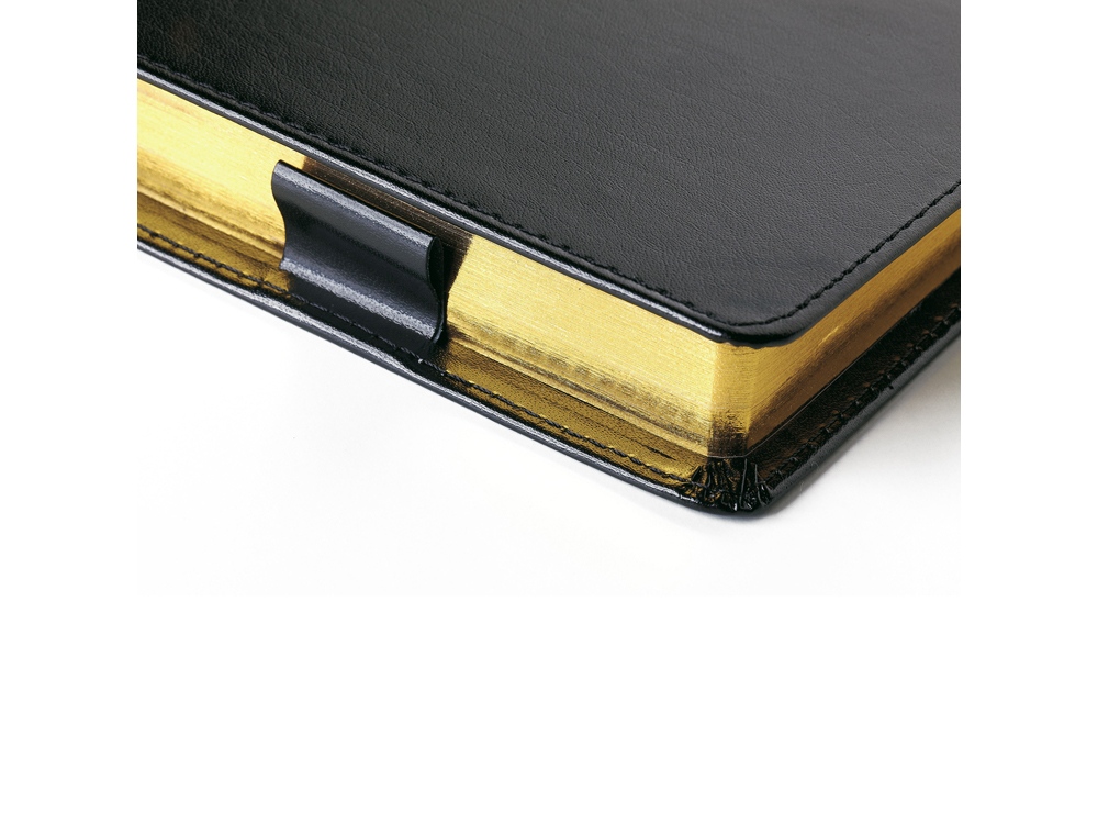 Ежедневник полудатированный портфолио А5  PROFY черный-5