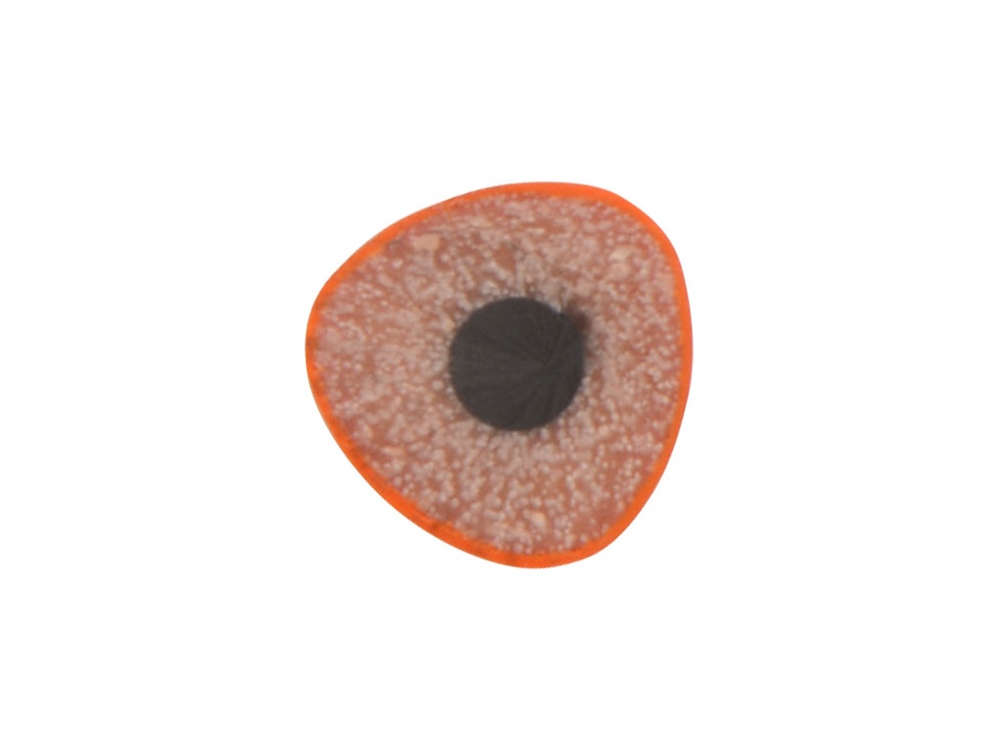 Трехгранный карандаш Conti из переработанных контейнеров, оранжевый-1