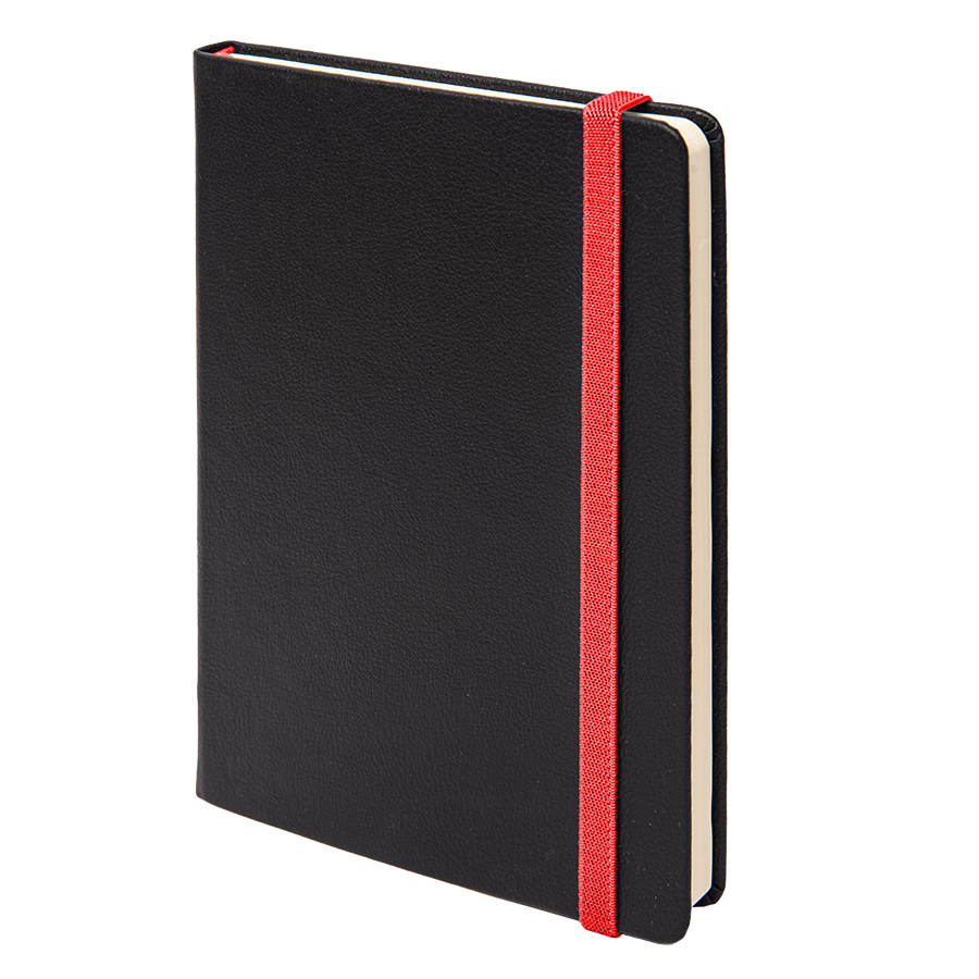 Ежедневник недатированный Ray, формат А5, в клетку, черный, красный-0