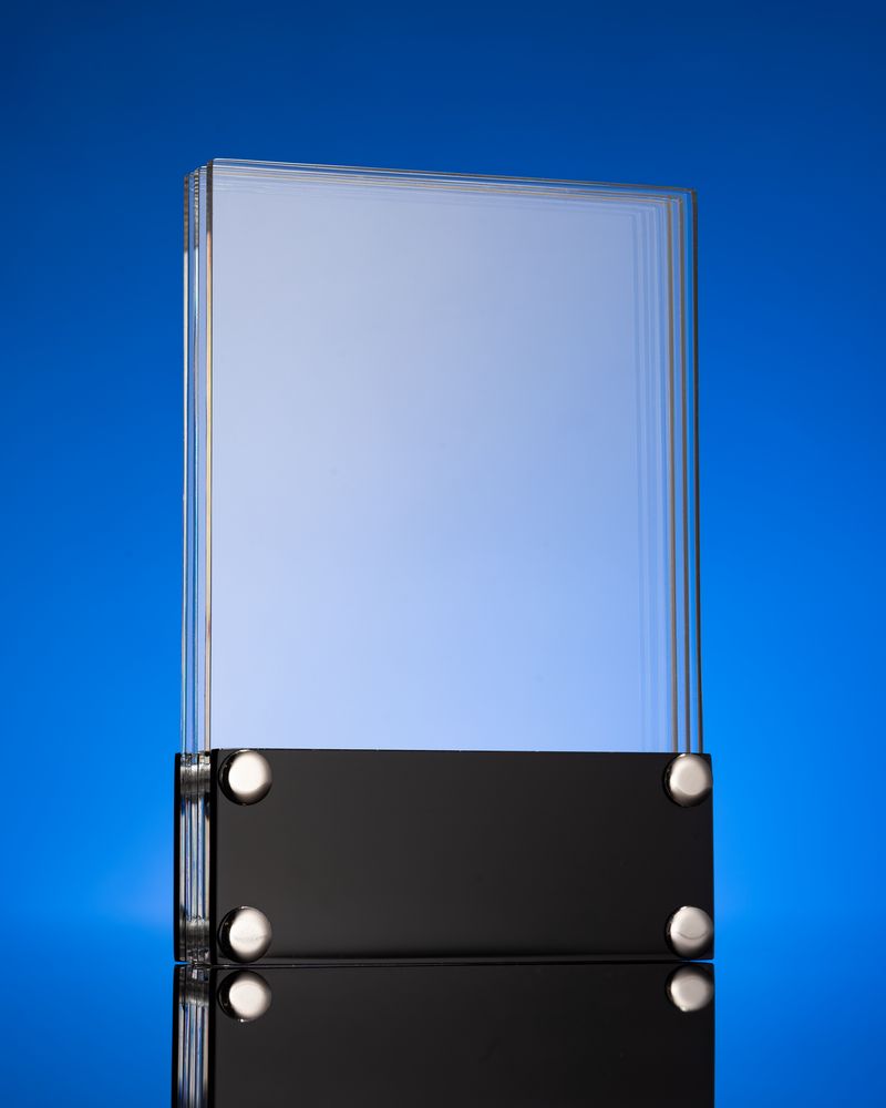 Награда Scriptum-2