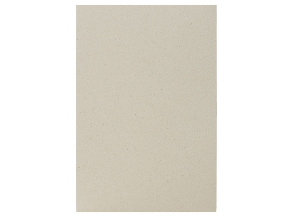 Блокнот А5 Adiantum из переработанного тростника, 80 листов, гибкая обложка, натуральный-2