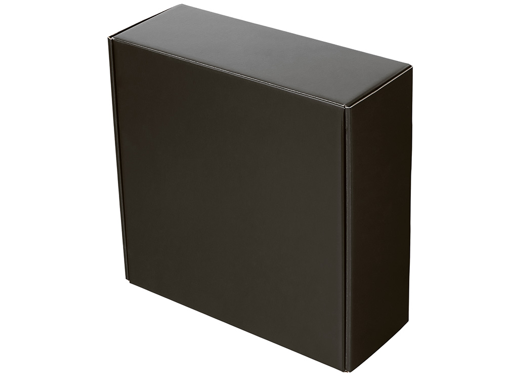 Коробка подарочная Raven, L, черная, вн. размер 260х260х100 мм.-1