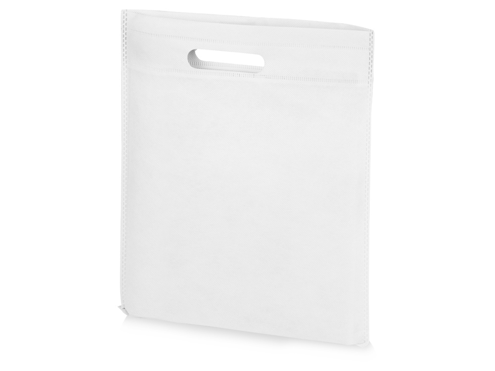 Сумка для выставок Prime, белый-0
