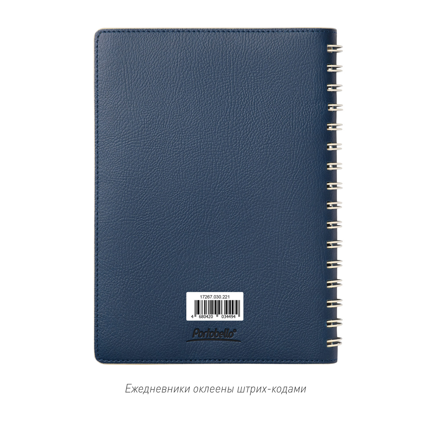 Ежедневник Виста (Vista) недатированный, синий/бежевый-14