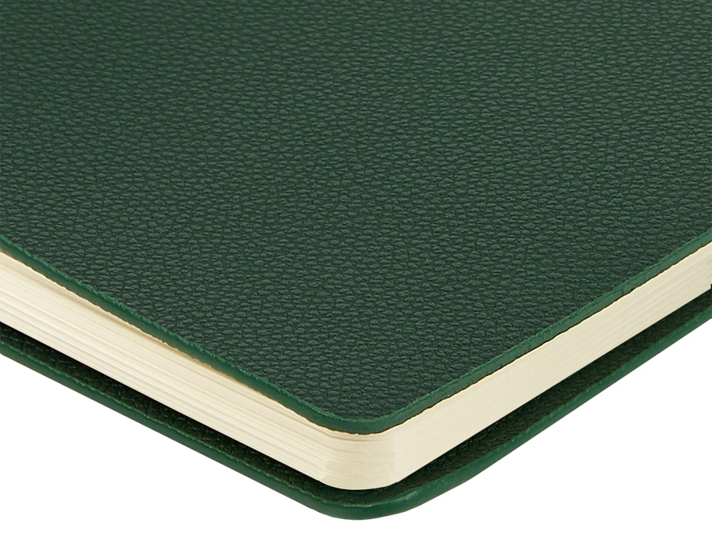 Ежедневник недатированный А5 Alba, зеленый-5