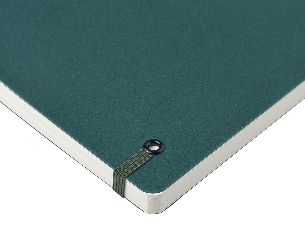 Ежедневник недатированный на гребне А5 Pragmatic, темно-зеленый-5