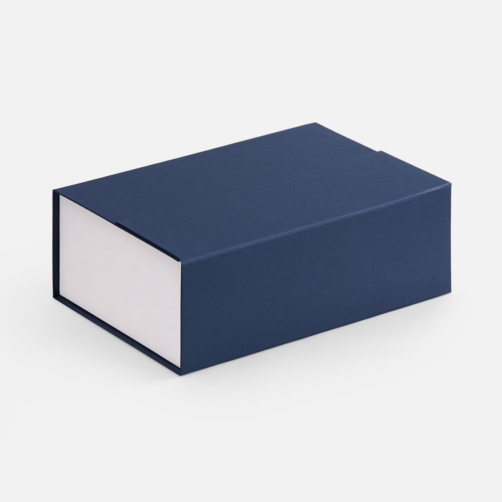 Коробка Bicolor Case, белая с синим-1