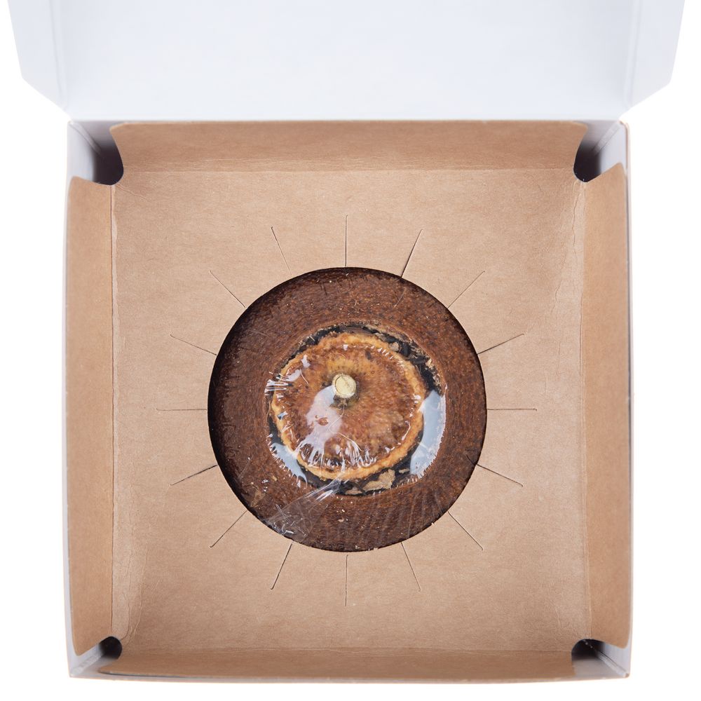 Черный чай Citrus в апельсине с маслом лайма-2