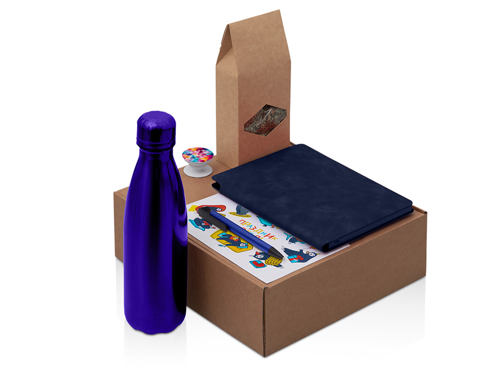 Подарочный набор с термобутылкой, блокнотом, ручкой и чаем, синий-0