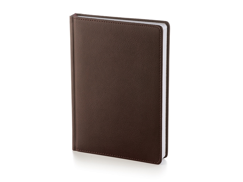 Ежедневник А5 датированный Leader 2026, коричневый-0