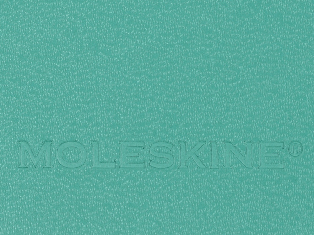 Записная книжка Moleskine Classic (в линейку) в твердой обложке, Large (13х21см), морская волна-6