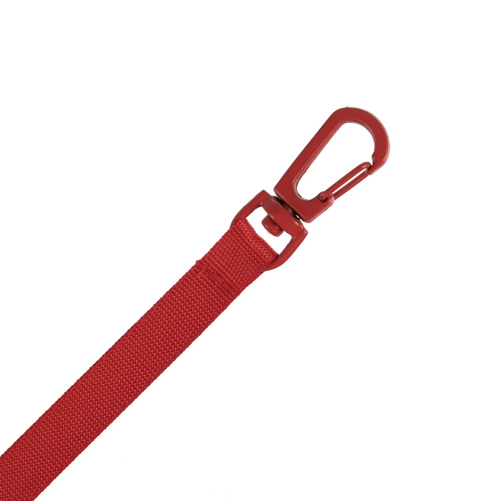 Застежка-карабин Snap Hook, S, красная-2