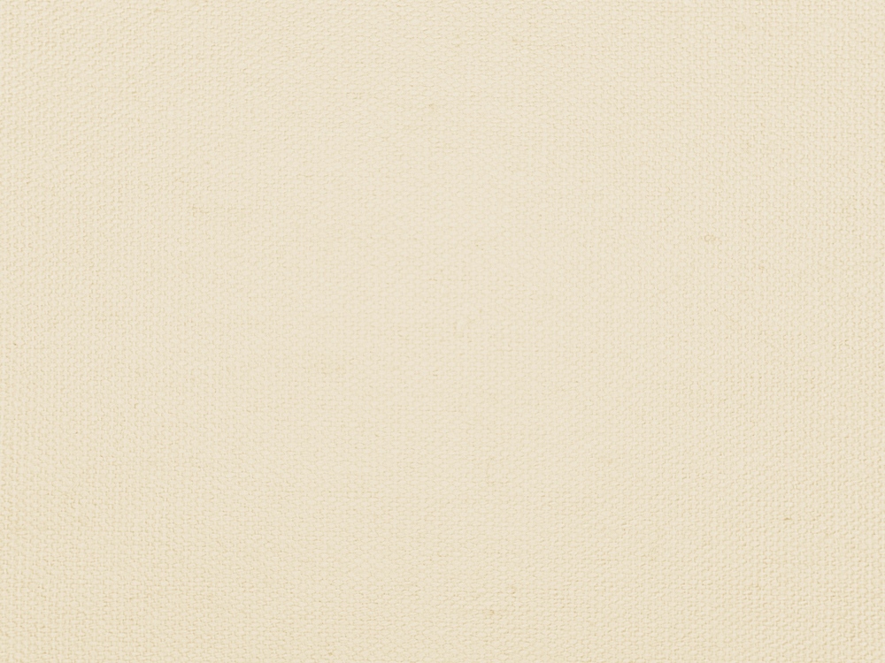 Сумка для шопинга Steady из хлопка с парусиновыми ручками, 260 г/м2, натуральный-5