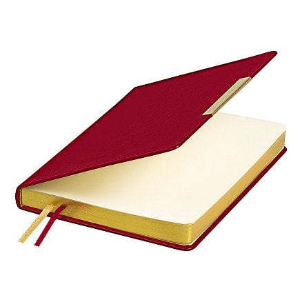 Ежедневник City Moderna Pristine А5, Бордовый/золотой-2