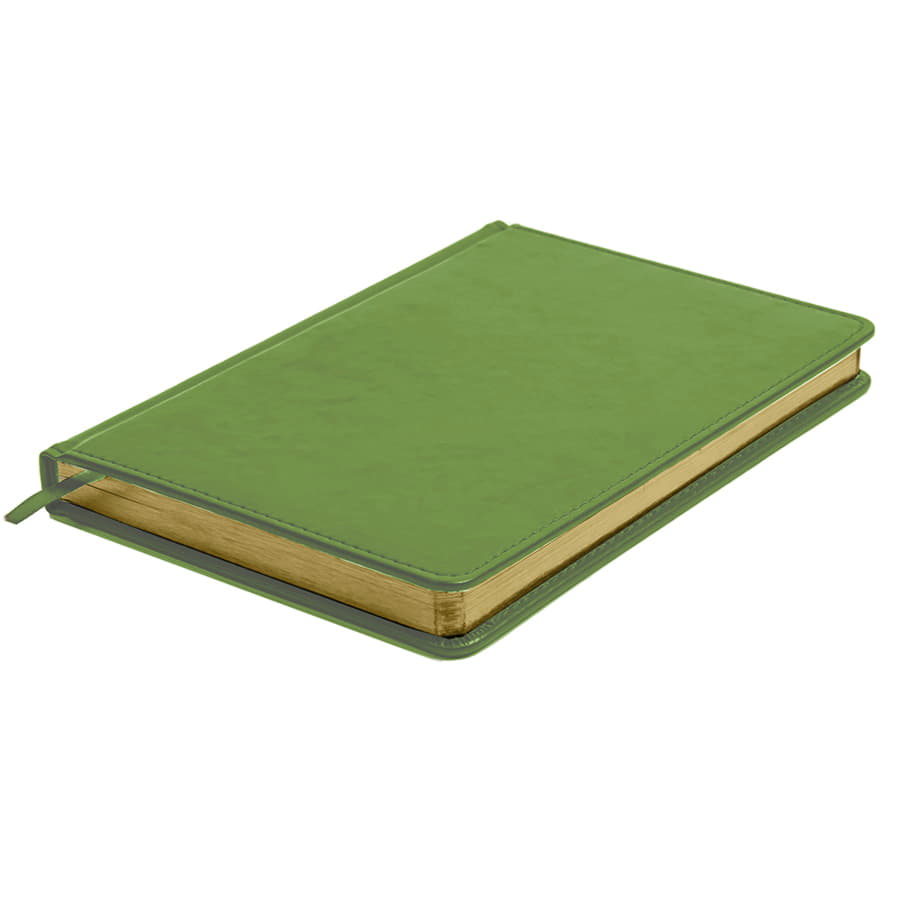 Ежедневник недатированный Joy, формат А5, в линейку, зеленое яблоко-3