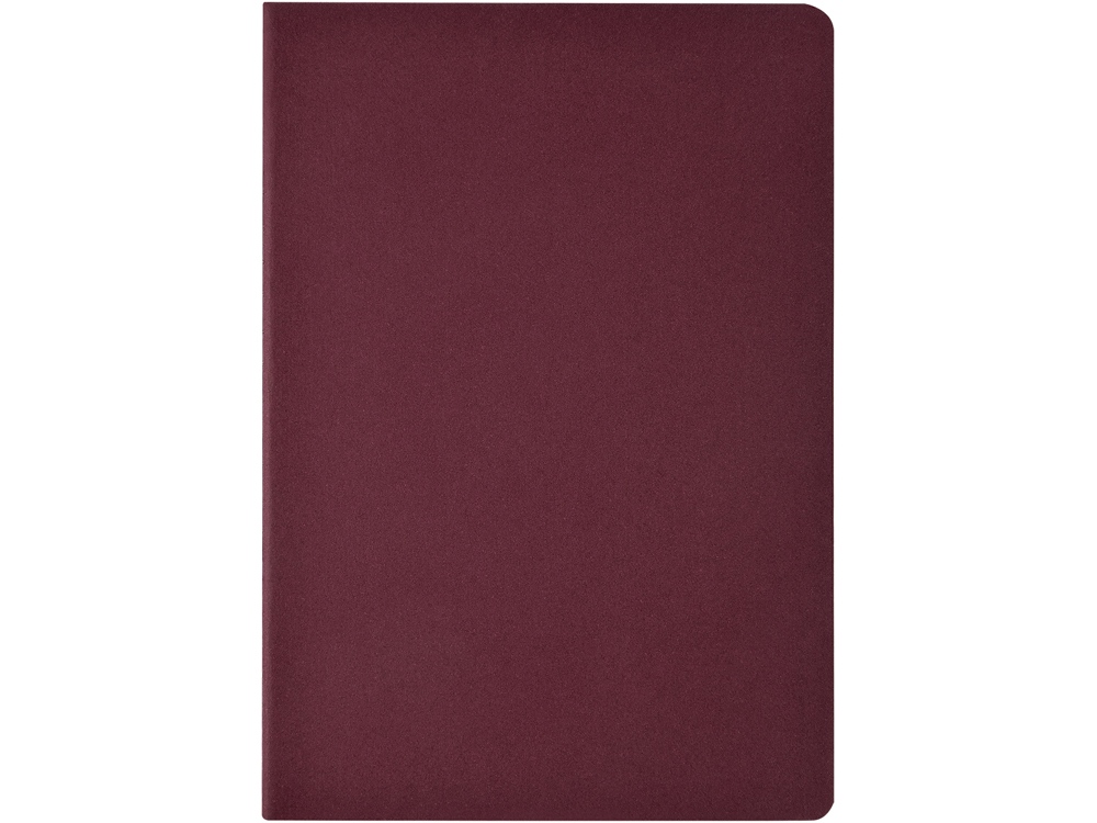 Бизнес тетрадь А5 Pragmatic, 40 листов в клетку, бордовый-1