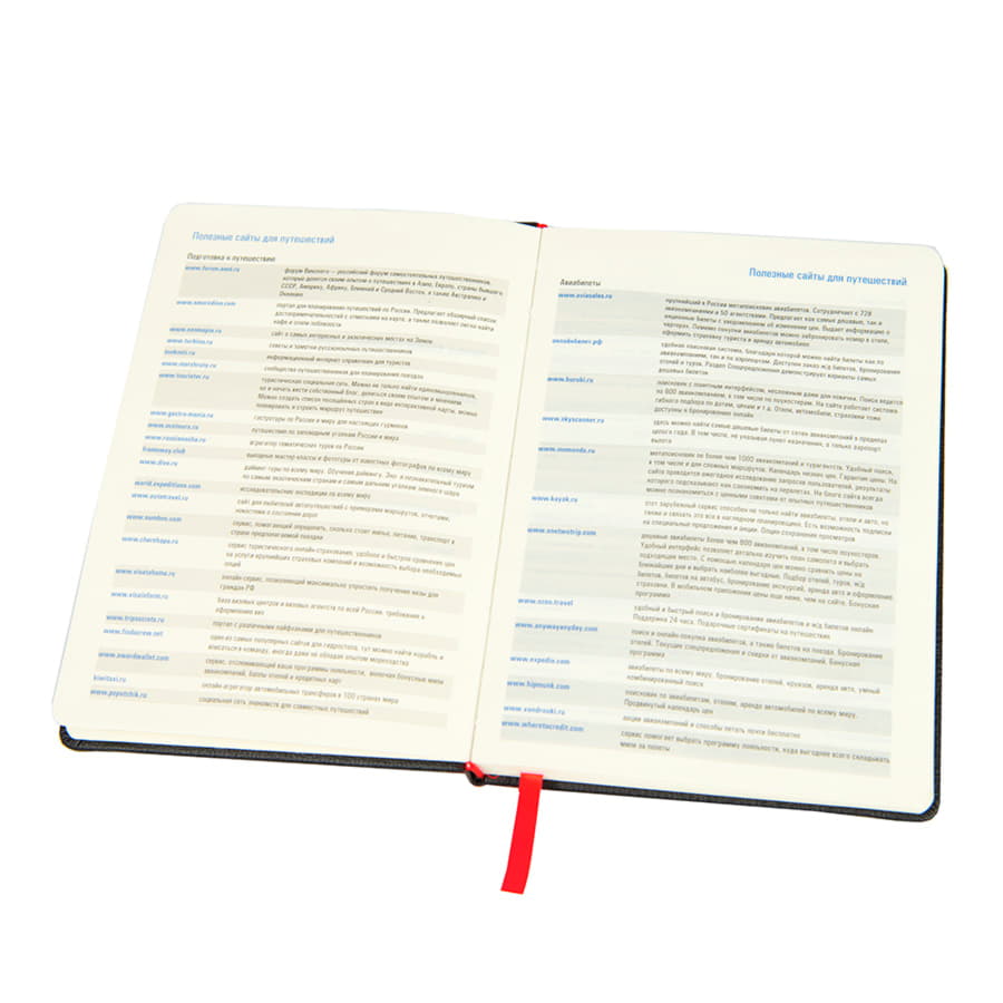 Ежедневник недатированный RAY, формат А5, в клетку, черный, красный-2