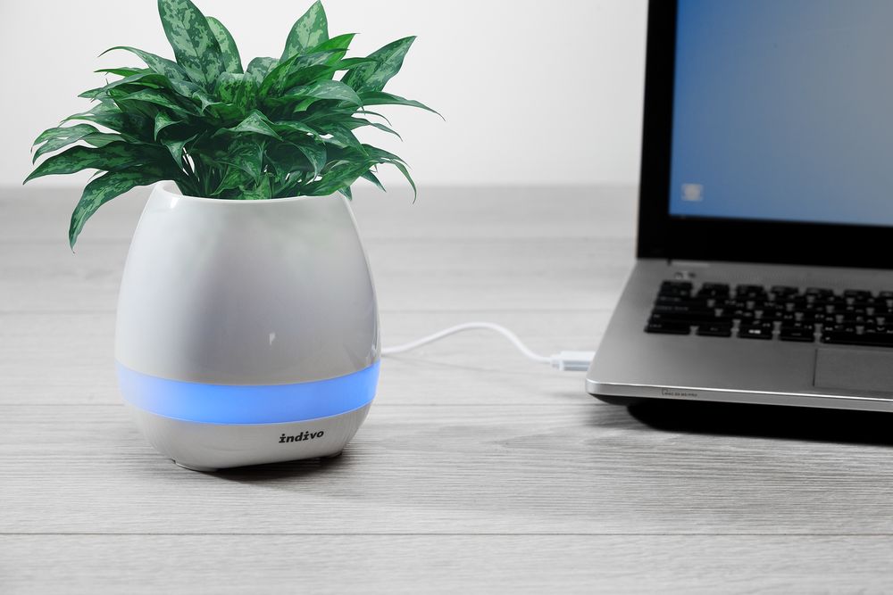 Беспроводная колонка melodyPot, белая-4